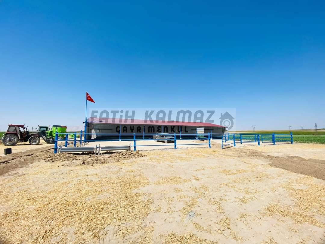 Karatay İsmilde Satılık Sulak Tarla - Toplu Satılık - 309.706 M2