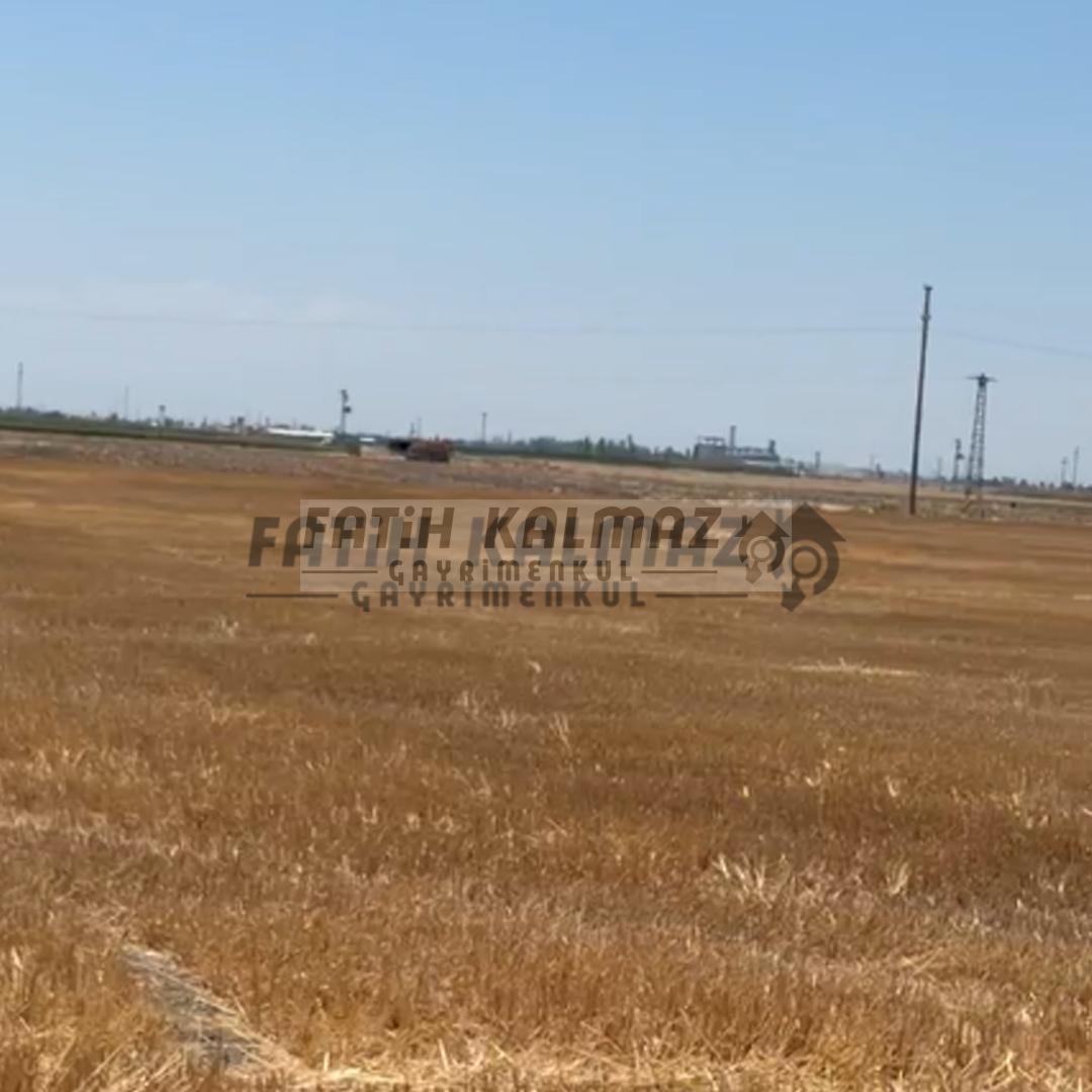 Karatay İsmilde Satılık Sulak Tarla - Toplu Satılık - 309.706 M2