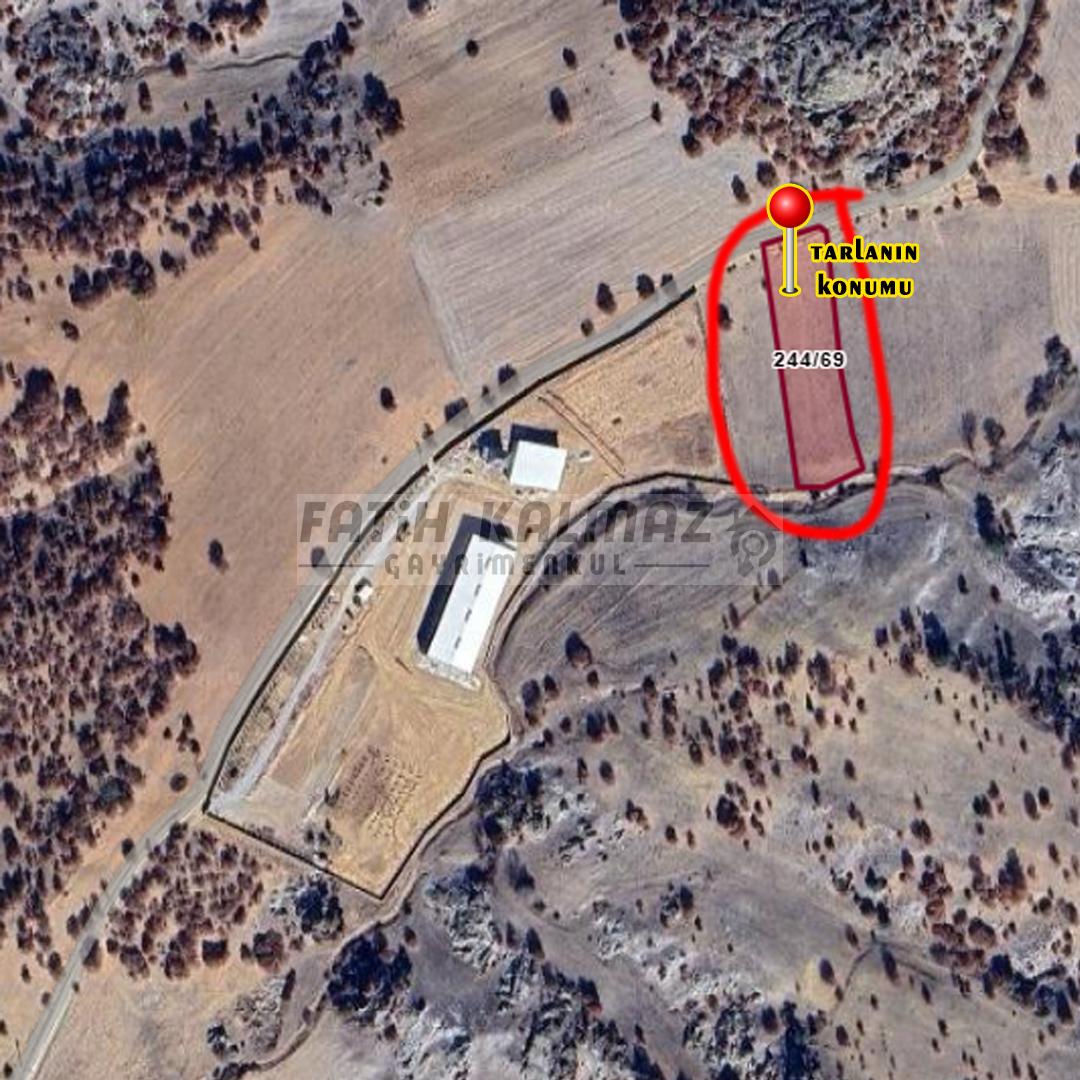 Meram Kızılören'de Satılık Tarla - Müstakil Tapu - 4.145 M2